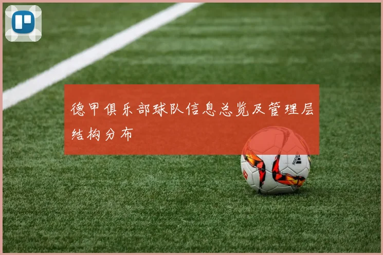 德甲俱乐部球队信息总览及管理层结构分布