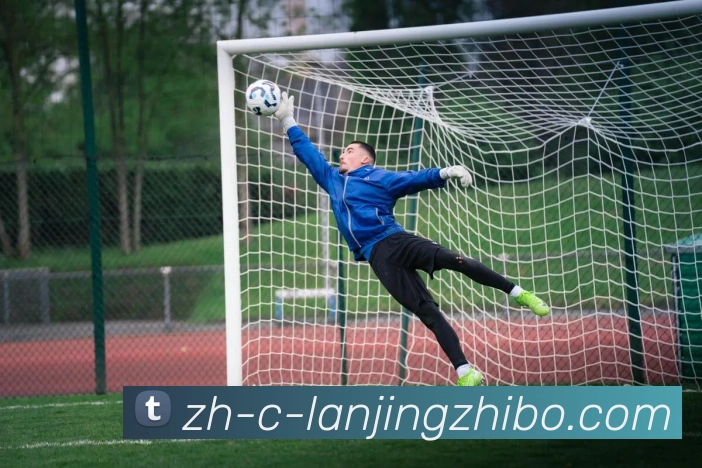 蓝鲸体育发展历程